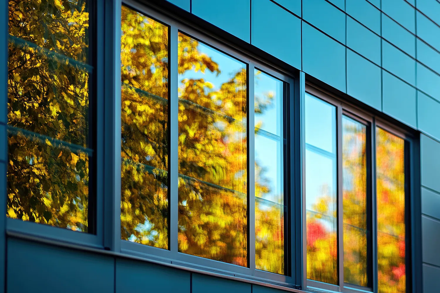 3m fasara film catalogue