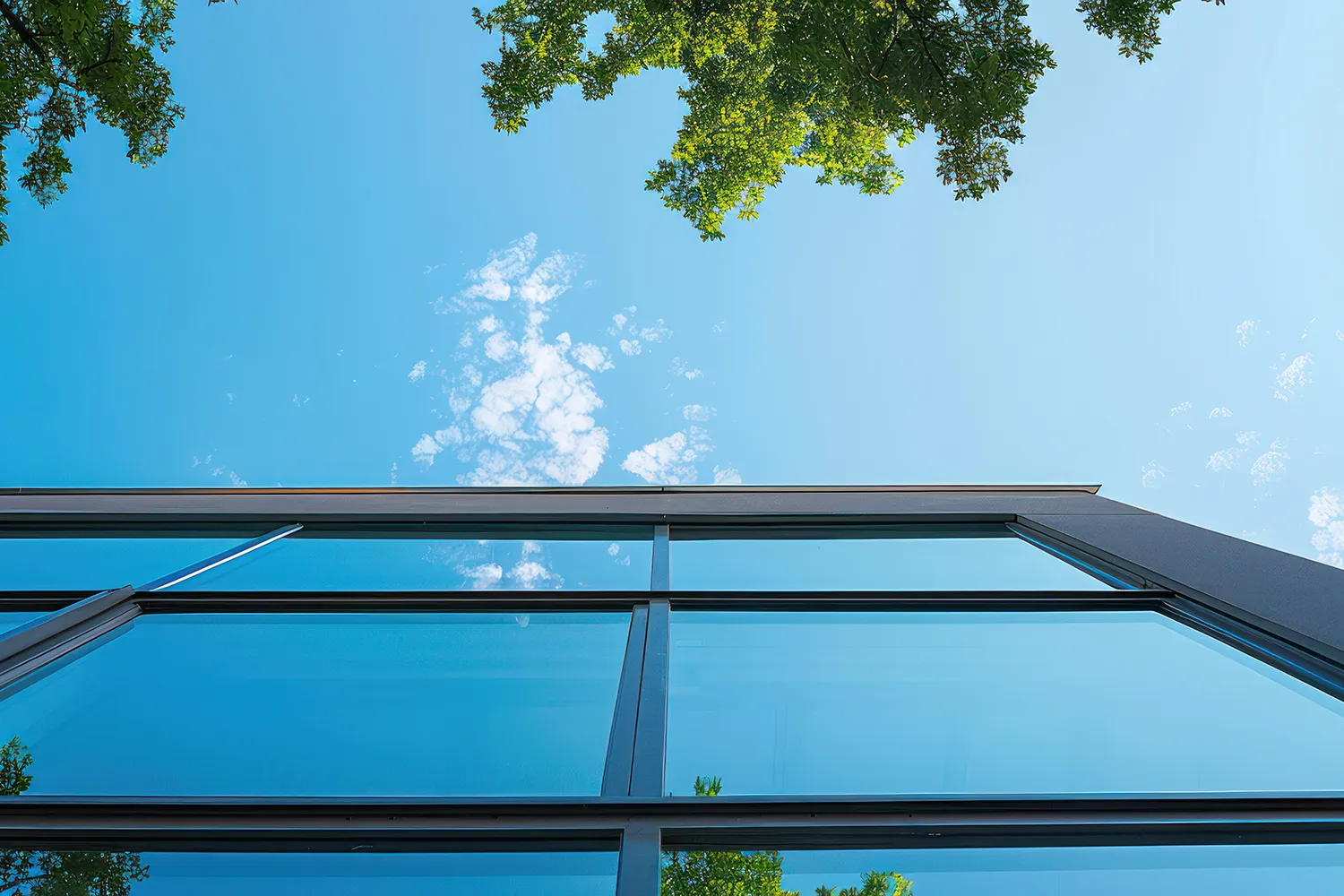 3m fasara film catalogue