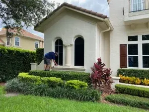 real free estimate